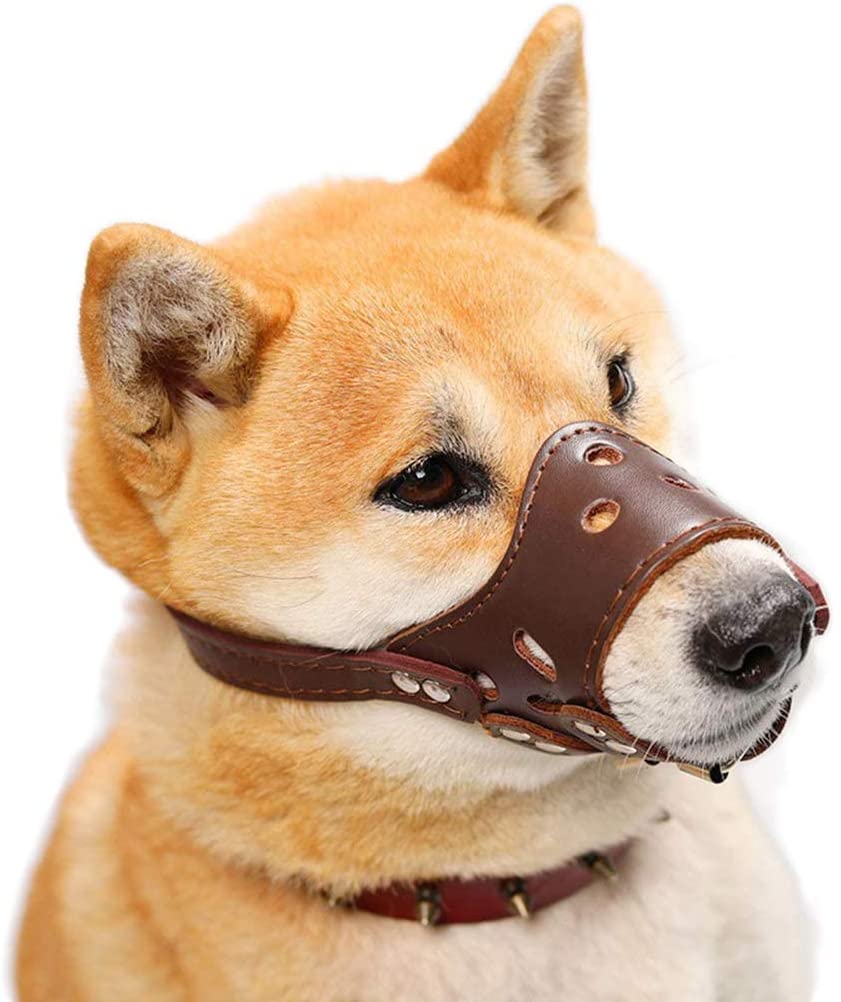 Dog Leather Muzzle GROOMY