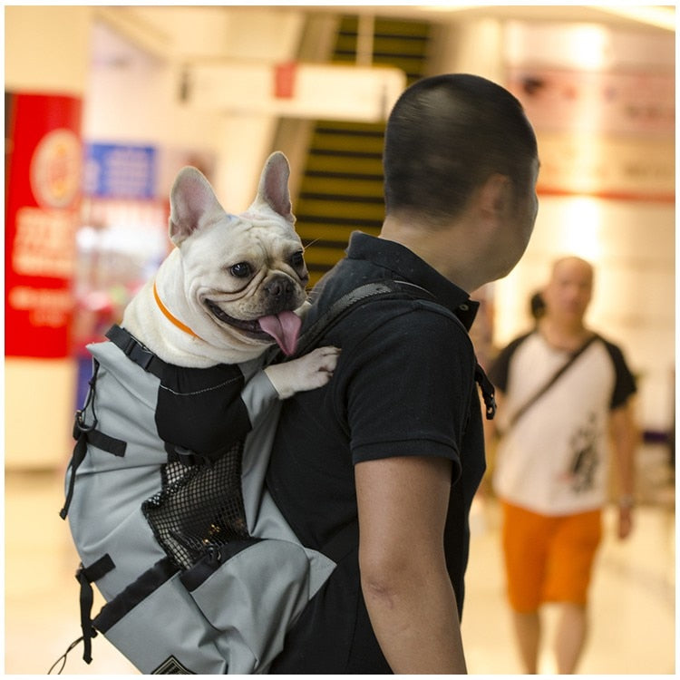 Dog Carrier Backpack - Style A GROOMY