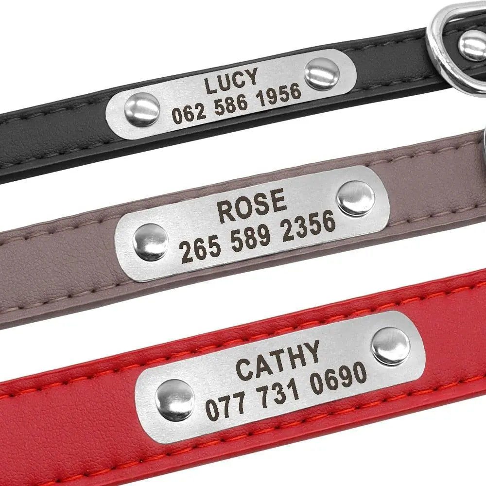 Leather Dog Collar w/ Silver Name Tag - Engrave Your Pet's ID GROOMY