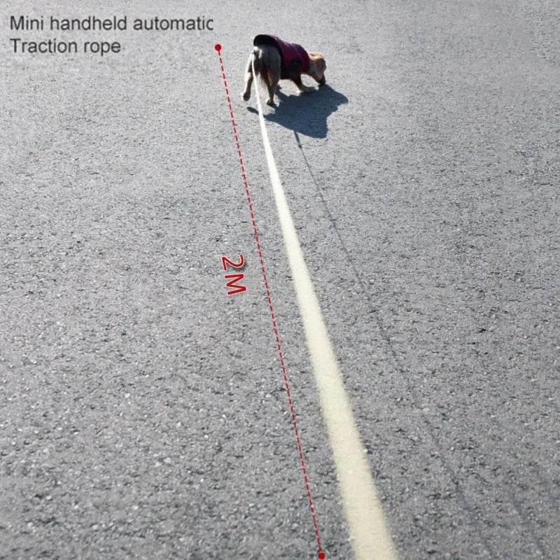 Mini Retractable Dog Leash GROOMY