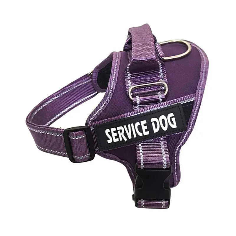 Personalized Dog Harness - Engrave Your Pet's Name GROOMY