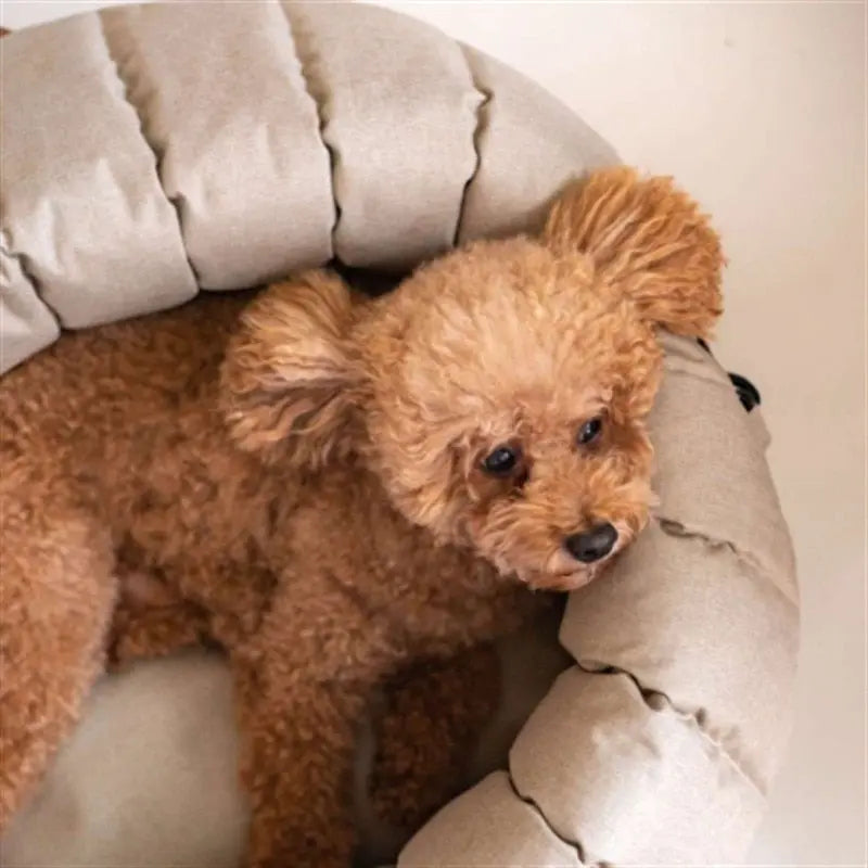 Pet Purse Type B - Comfortable & Breathable GROOMY