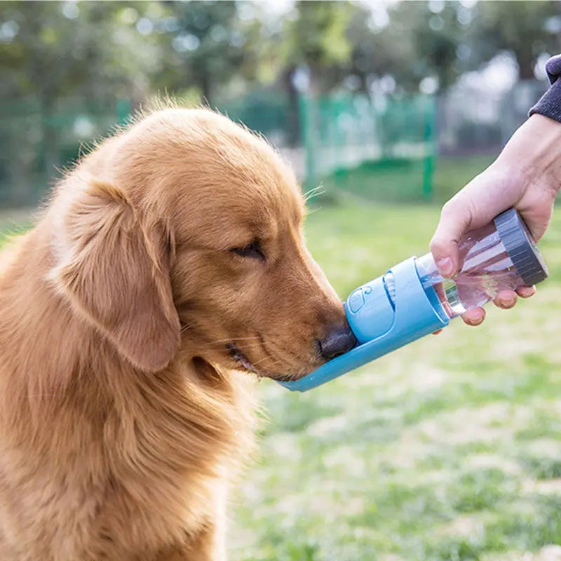 Portable Dog Water Bottle w/ Carbon Filter GROOMY