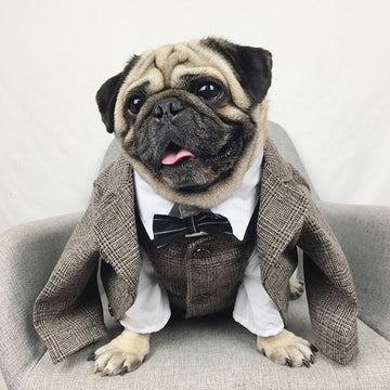 Gentleman Pet Dog Clothes Wedding Suit Vest Set Formal Shirt For Small Medium Large Dogs French Bulldog Puppy Outfit Pug Costume GROOMY