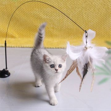 Interactive Feather Tease Toys for Cats GROOMY