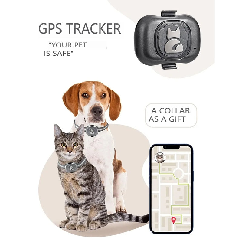 GPS Tracking Dog Collar Waterproof Anti Lost GROOMY