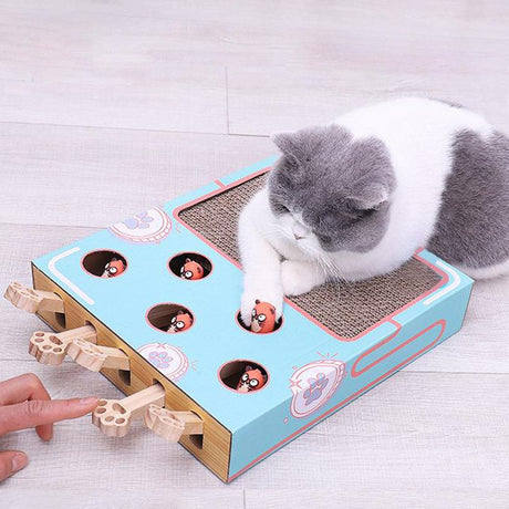 Kugobarne Cat Puzzle Toys, Interactive Cat Toy, Cat Play Toy Cat