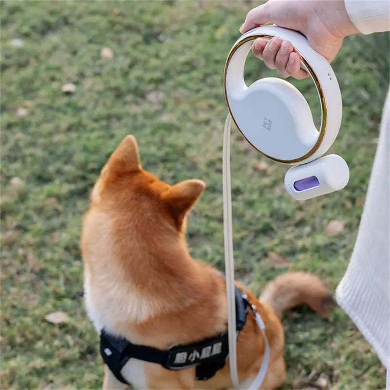 Smart LED Retractable Dog Leash - Type B GROOMY