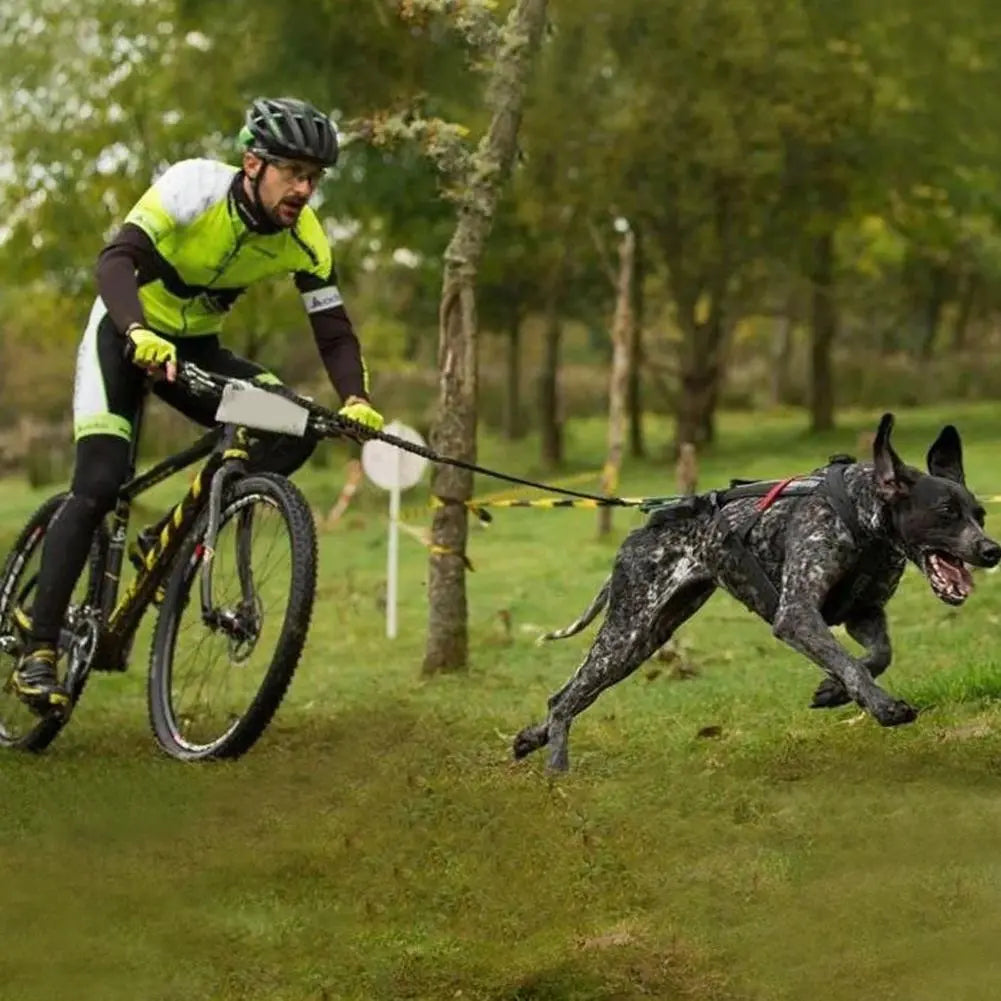 Training Dog Leash & Bike Dog Leash GROOMY