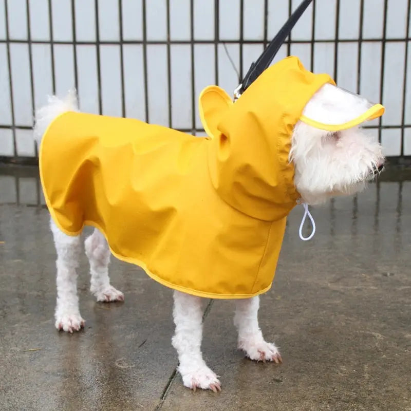 Yellow Dog Raincoat - Dog & Cat Apparel GROOMY